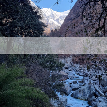 Pèlerinage Bouddhiste Langtang Trek Népal Amitabha Terre Pure 2024